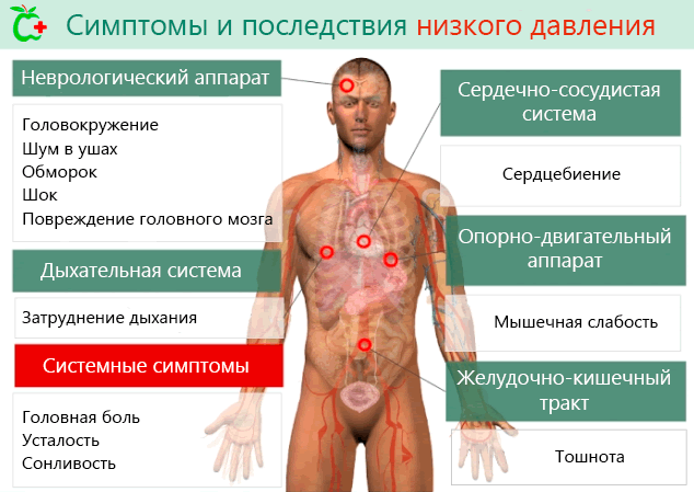 Тиск 90 на 50 – що означають показники і як їх підвищити?