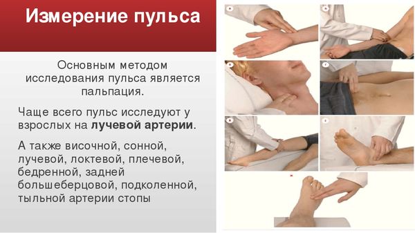 Пульс у сні: норми у дорослих і дитячому віці