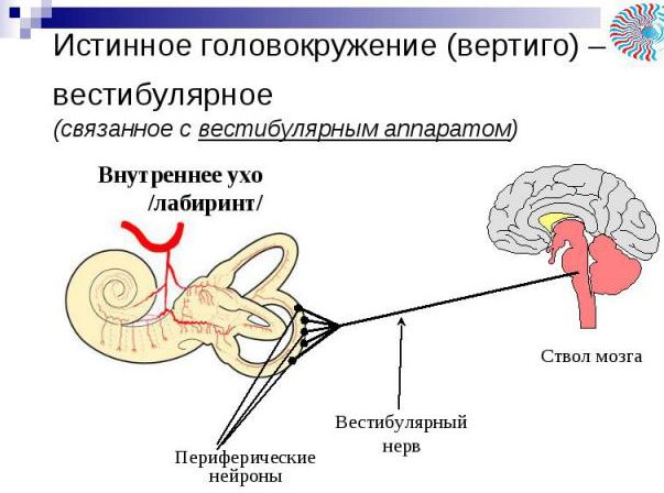 Запаморочення при нормальному тиску: причини та діагностика