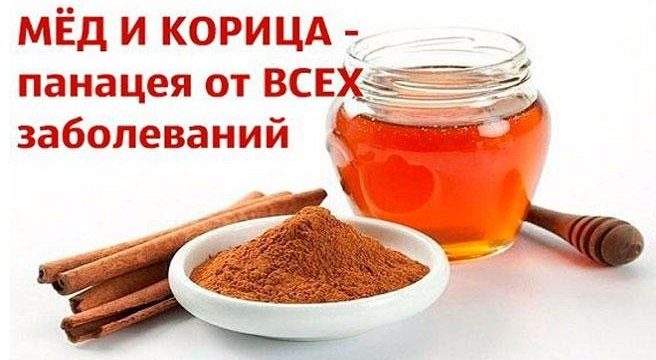Мед підвищує або знижує тиск: його лікувальні властивості