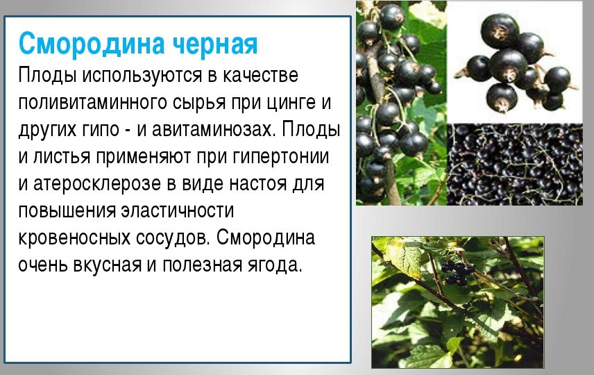 При якому тиску нудить: способи боротьби з нудотою