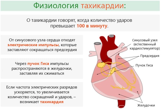 Прискорений пульс: необхідне лікування і які препарати приймати