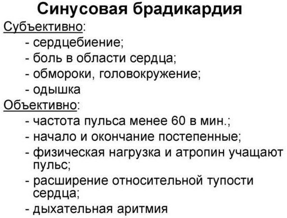 Норма пульсу у жінок – стандартні показники та особливості