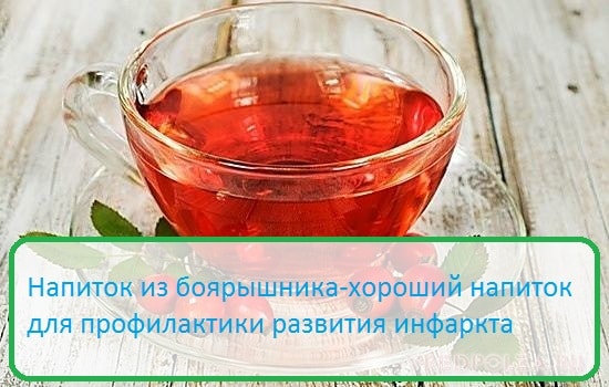 Настоянка від тиску: як правильно лікувати гіпертонію