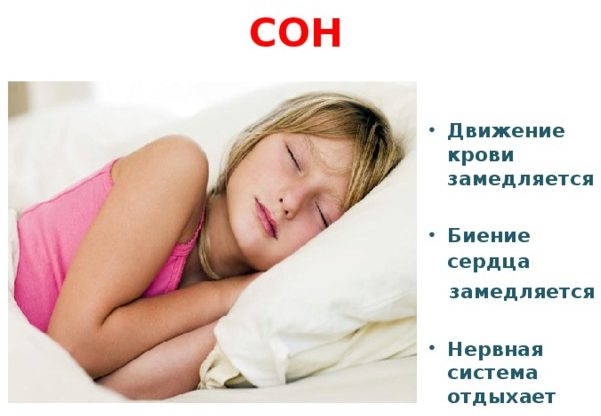 Пульс у сні: норми у дорослих і дитячому віці