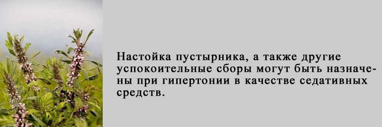 Настоянка від тиску: як правильно лікувати гіпертонію