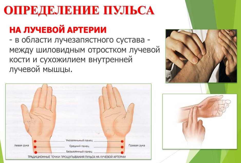 Діагностика по пульсу: основні вимоги щодо проведення