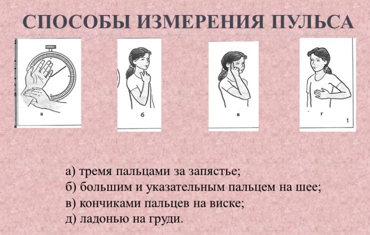 Нормальний пульс у підлітка – як його виміряти і від чого він залежить