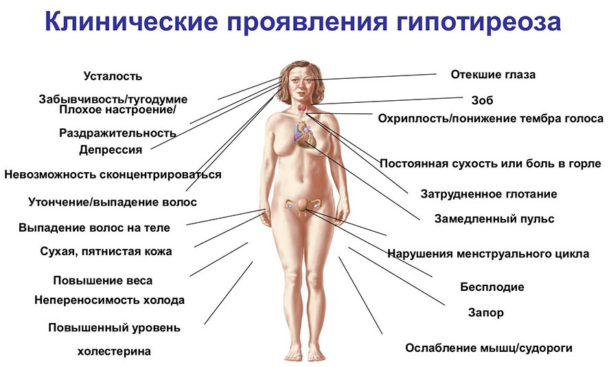 Ендокринні артеріальні гіпертензії – види захворювань