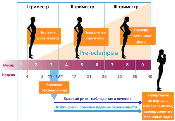 Прееклампсія вагітних: що це таке?