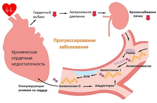 Бісопролол: інструкція до препарату та його ціна
