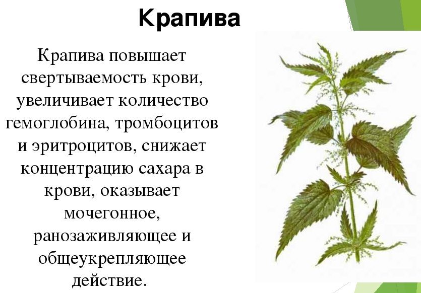 Домашні методи підвищення пульсаКак підвищити пульс в домашніх умовах швидко і ефективно