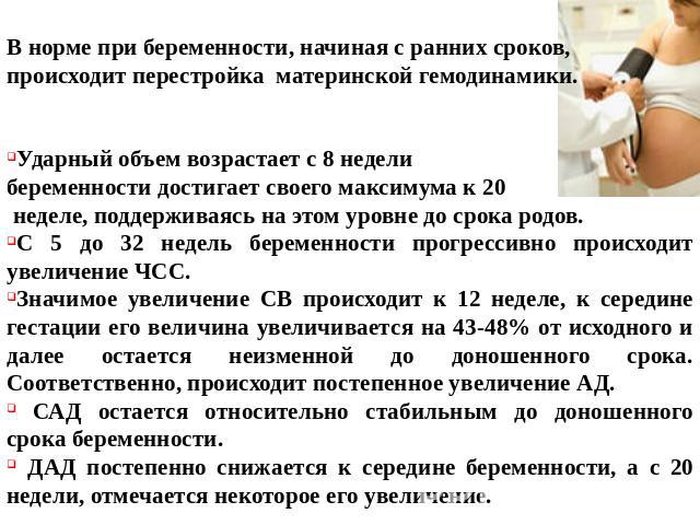 Норма пульсу у жінок – стандартні показники та особливості