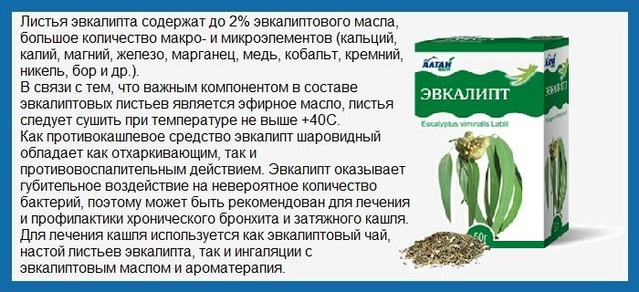 Настоянка від тиску: як правильно лікувати гіпертонію