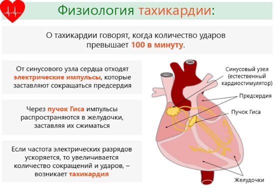 Причини підвищення і пониження пульсаСкачет пульс: причини і симптоми проблеми – брадикардії