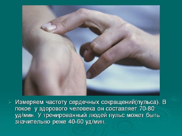 Пульс у спокої: якими повинні бути показники в спокійному стані