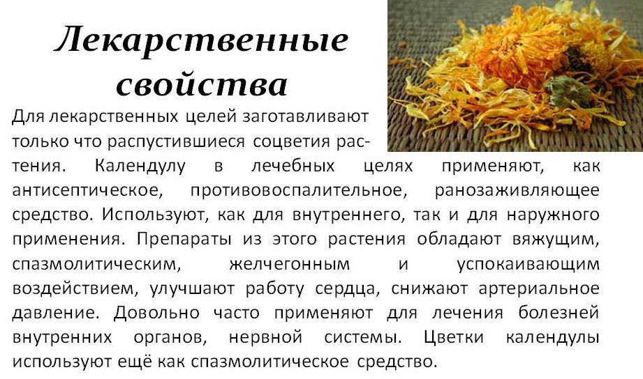 Настоянка від тиску: як правильно лікувати гіпертонію
