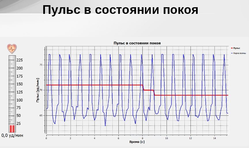 Пульс у спокої: якими повинні бути показники в спокійному стані