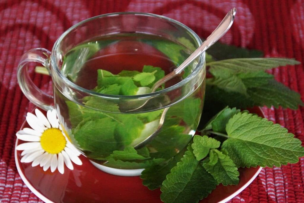 ЯК ВИКЛИКАТИ МІСЯЧНІ: НАРОДНІ МЕТОДИ В ДОМАШНІХ УМОВАХ