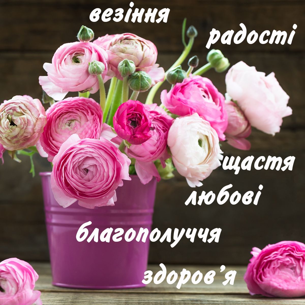 Найкращі привітання з днем ангела Агнії українською мовою