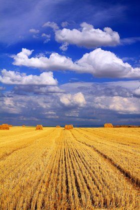 Оригінальні привітання з Днем Незалежності України українською