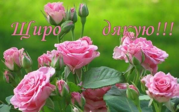 Оригінальні слова дякую за привітання з днем народження простими словами