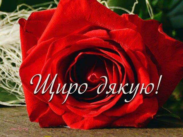 Cлова подяки батькам своїми словами