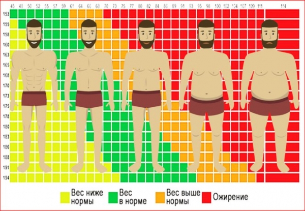 Індекс ваги і росту для жінок, чоловіків, дітей з урахуванням віку, таблиця норм, розрахунок ідеальної ваги для дівчат підлітків9