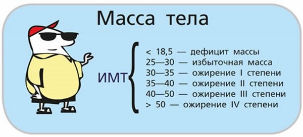Індекс ваги і росту для жінок, чоловіків, дітей з урахуванням віку, таблиця норм, розрахунок ідеальної ваги для дівчат підлітків6