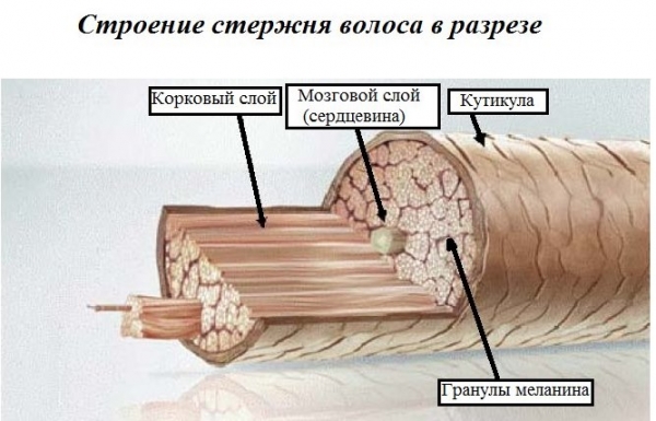 Кератинове випрямлення волосся. Відгуки, наслідки, результати. Покрокова інструкція1