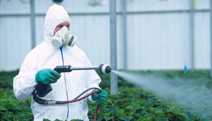 12 найкращих способів застосування нашатирного спирту як добрива 2023 для городу та саду