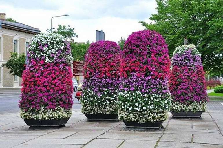 Невибагливі багаторічні квіти для дачі. Види та оформлення квітників (30 фото)