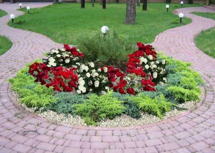 Невибагливі багаторічні квіти для дачі. Види та оформлення квітників (30 фото)