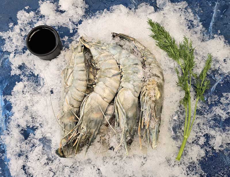 Креветки свіжоморожені