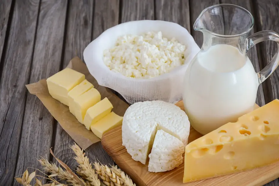 Молоко, сир та інші молочні продукти